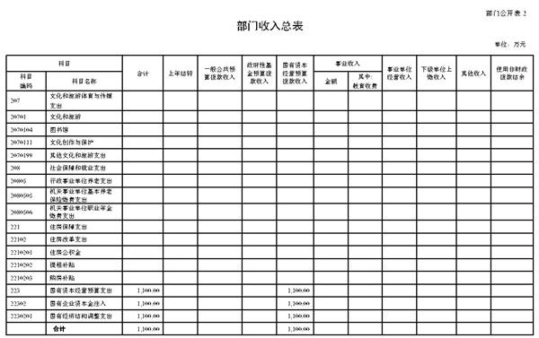 1_中數集團2022年度部門(mén)預算_Page6.jpg